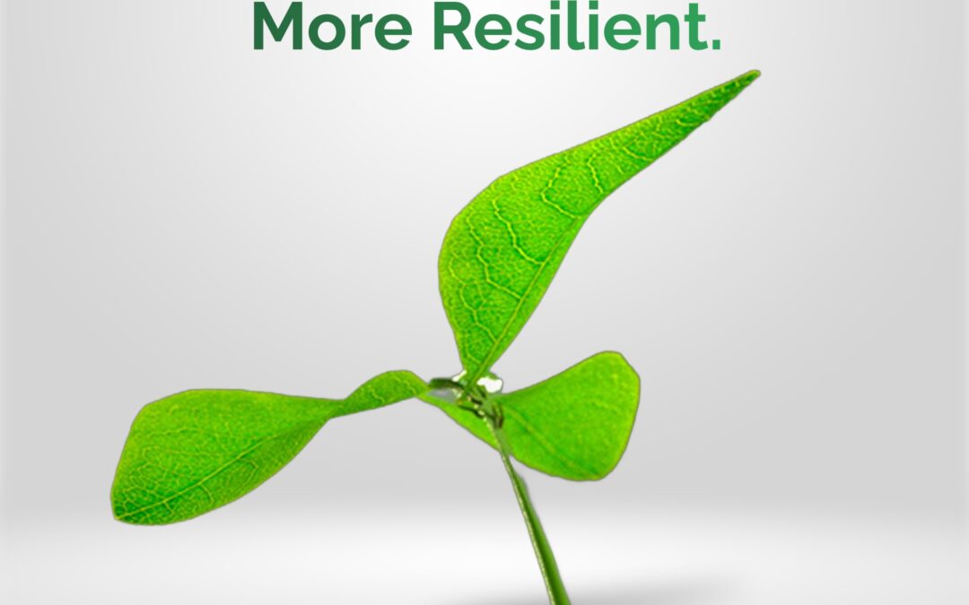 How Sustainability Drives Results in Advanced Manufacturing