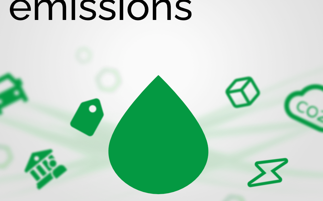 Walking the Walk on Sustainability