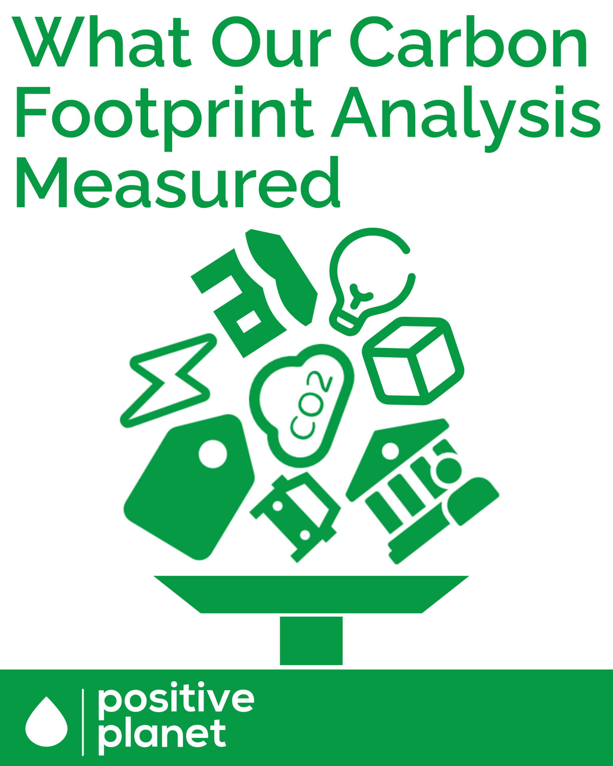 What Our Carbon Footprint Analysis Measured